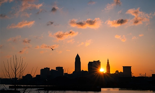 People running down a trail in a race