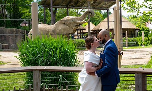 Bride and groom on a carousel