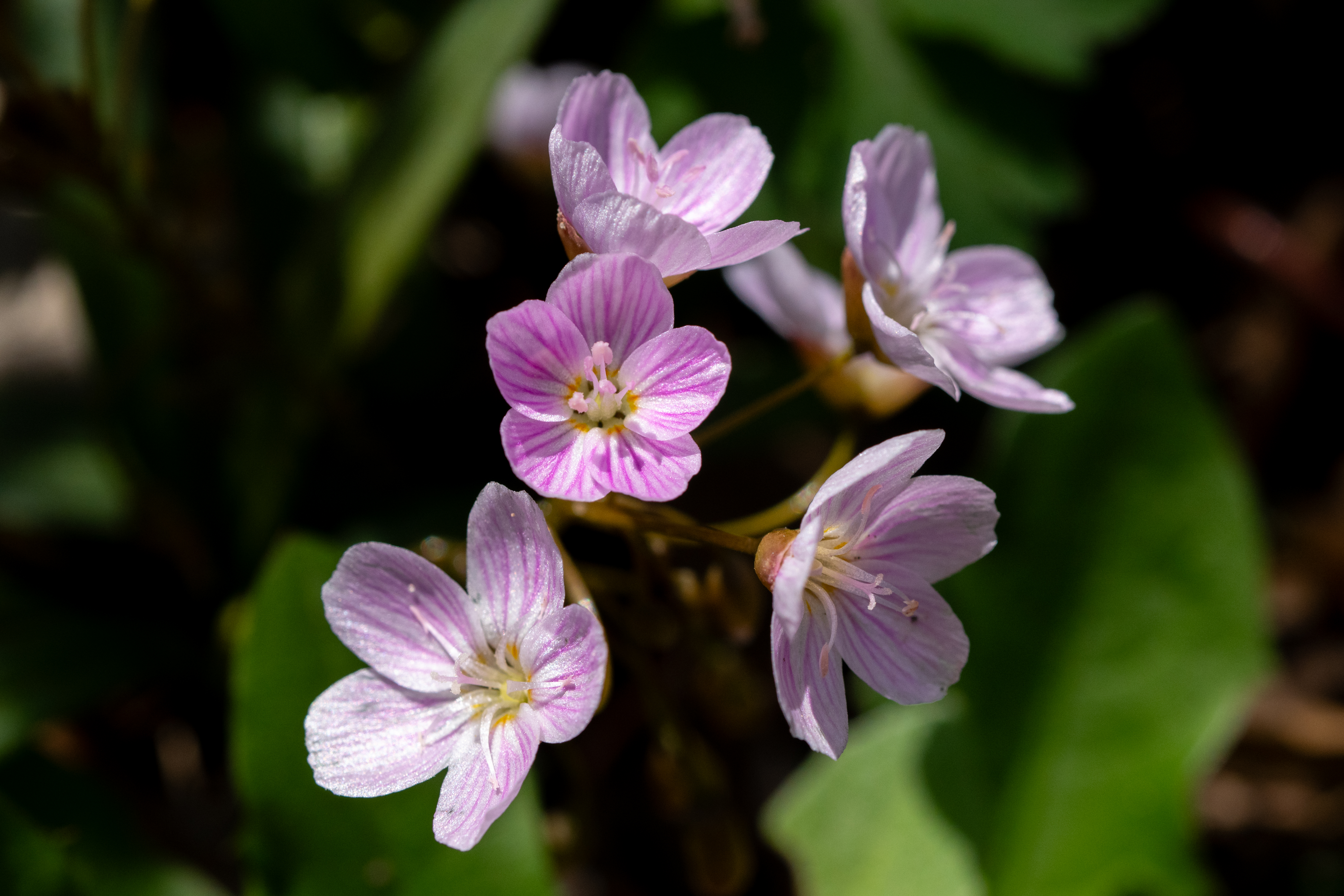 JTX_-436.jpg JTX_-436.jpg