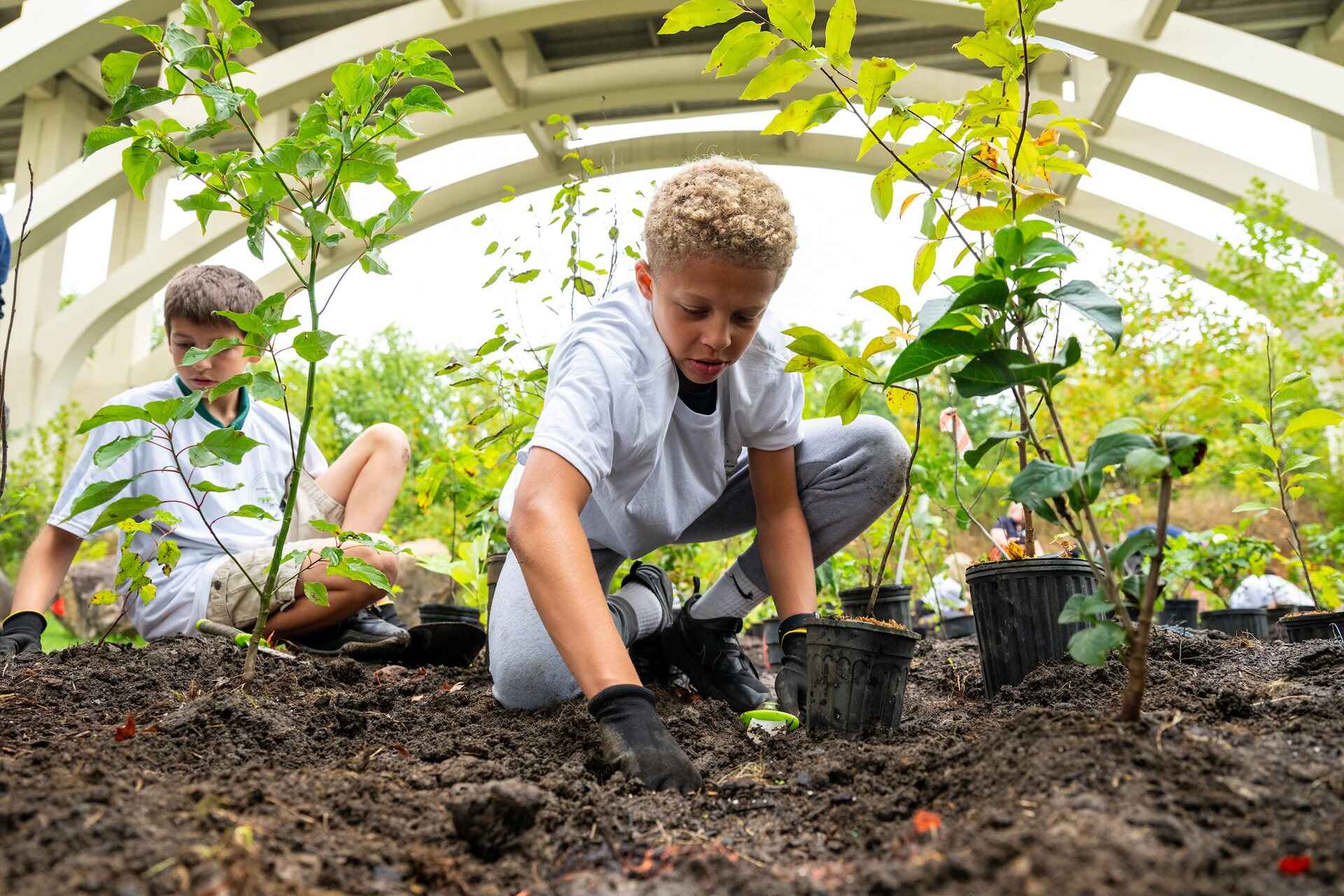 Kids planting trees in the ground