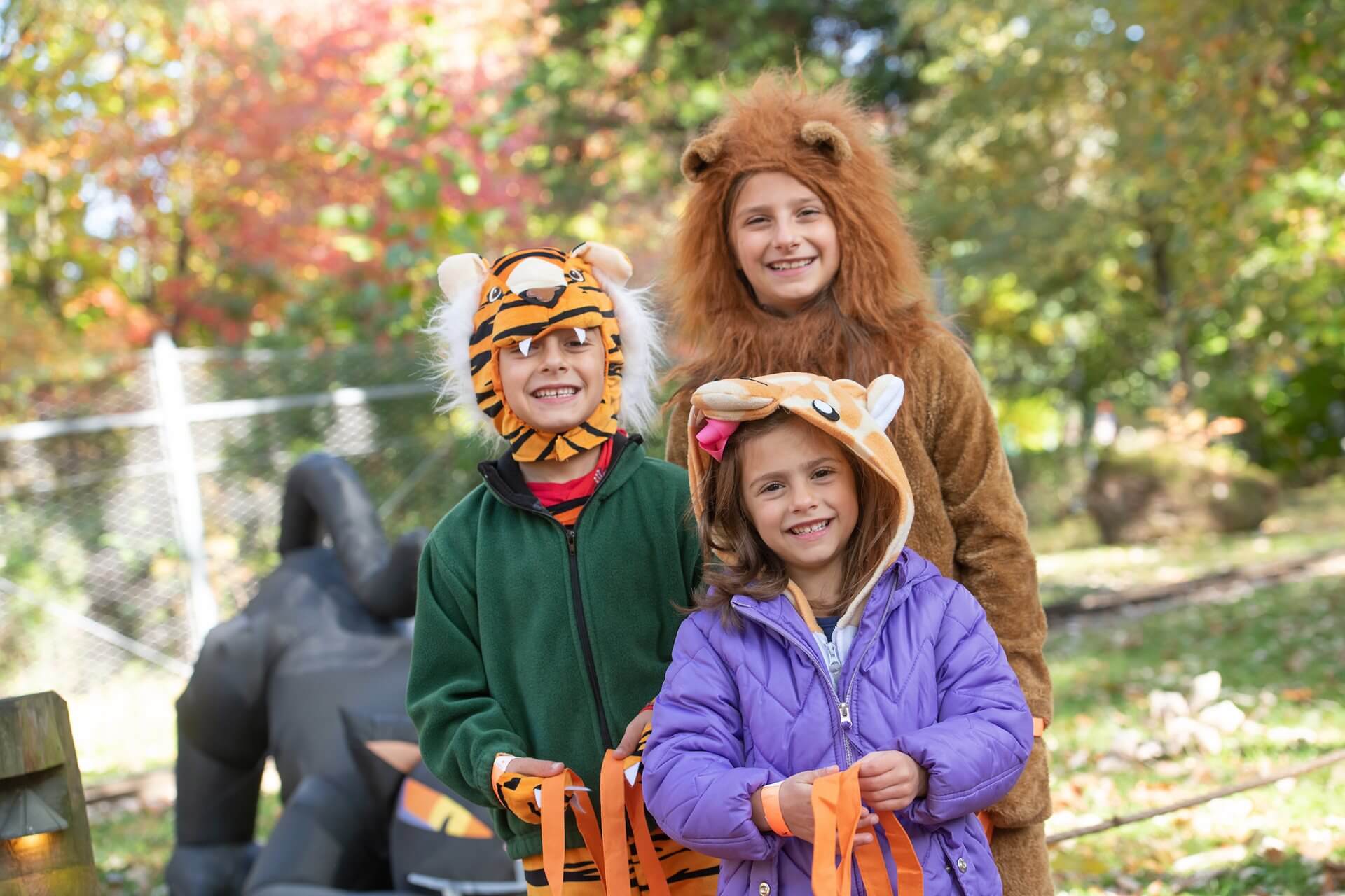 A family dressed up as animals