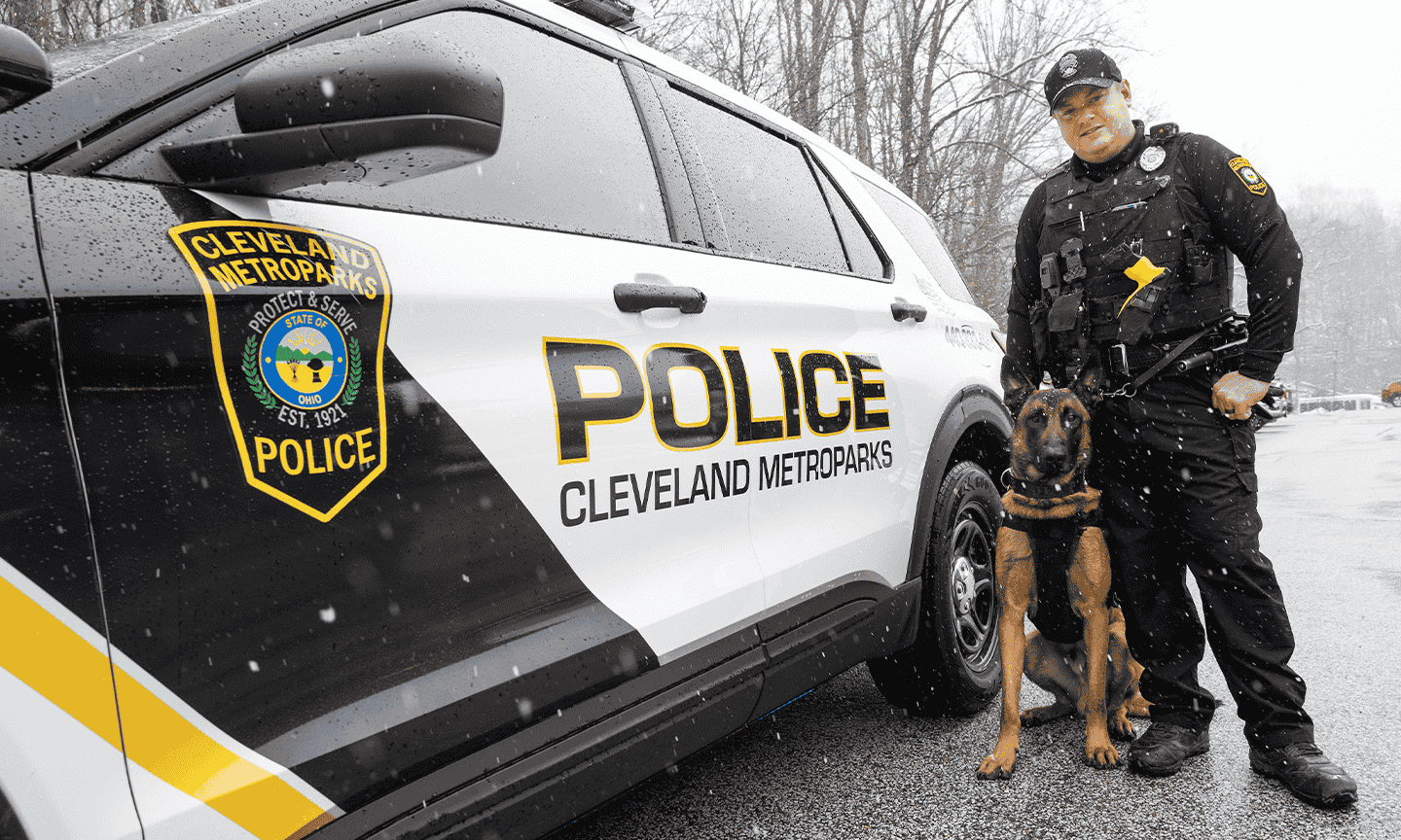 Divisions K9 and Officer