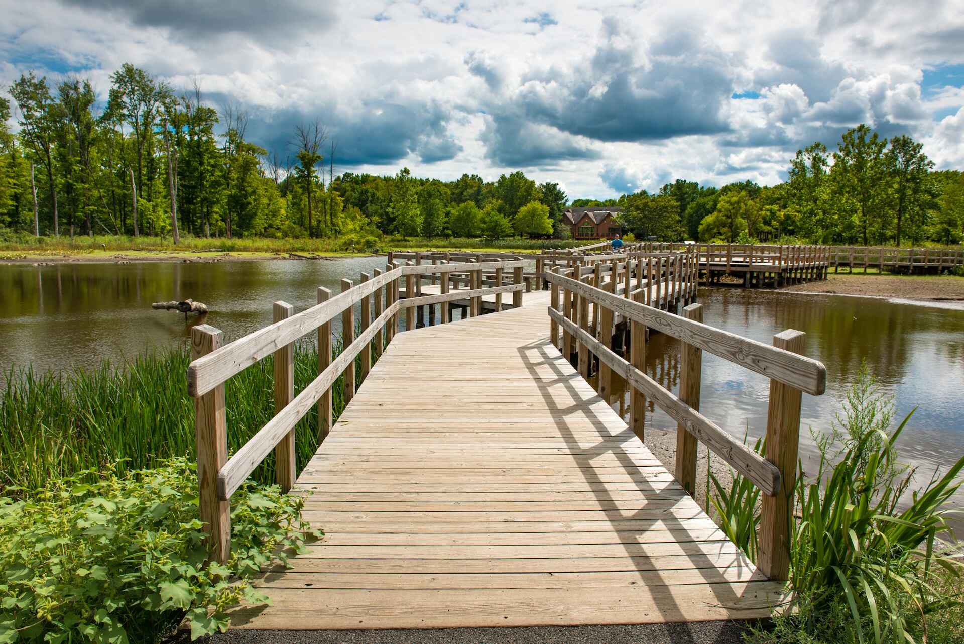 Trail into the marshes 