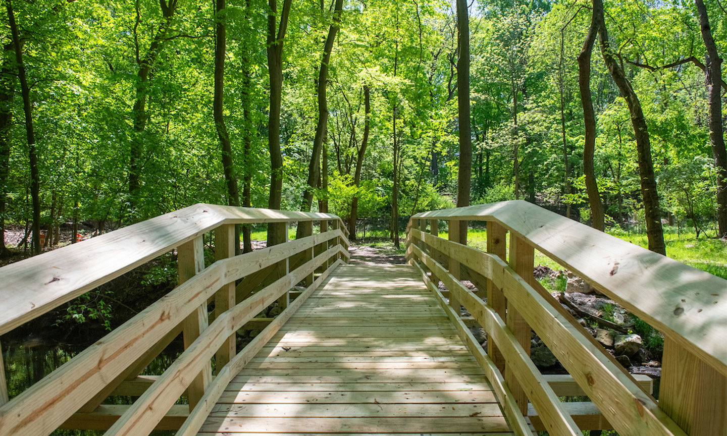  wooden bridge spans a serene stream, surrounded by lush greenery in a tranquil forest setting.