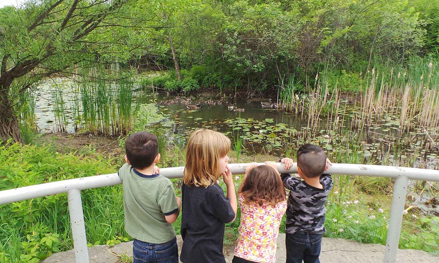 Four kids geese watching