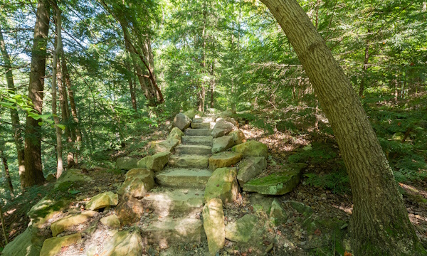 Stone steps in the woods