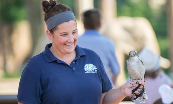 A female staff member holding a hawk