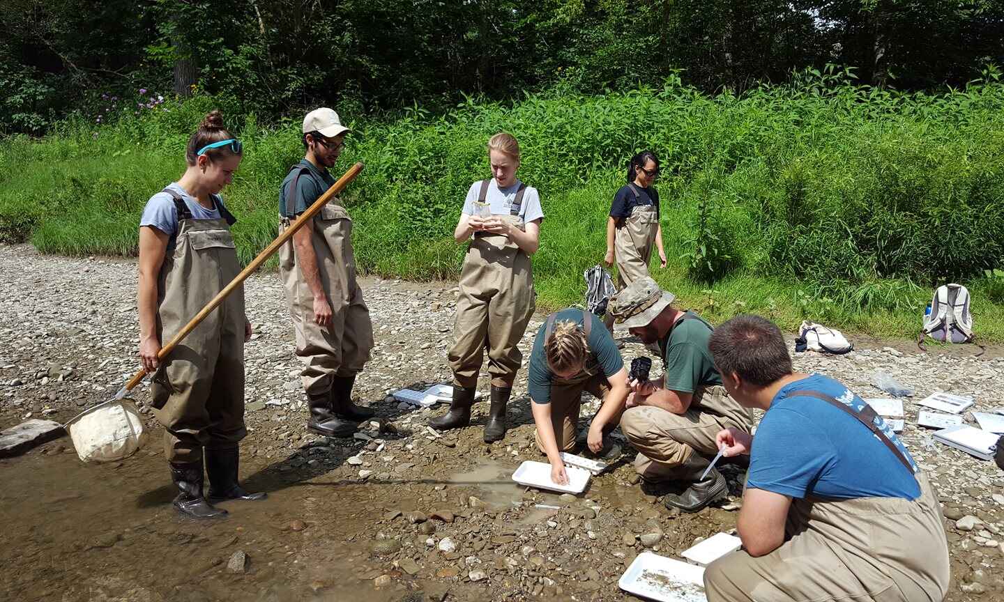 A group of people wearing waders gather by a riverbank, examining trays of water samples during a macroinvertebrate monitoring session. One person holds a net, and others kneel to inspect the trays.