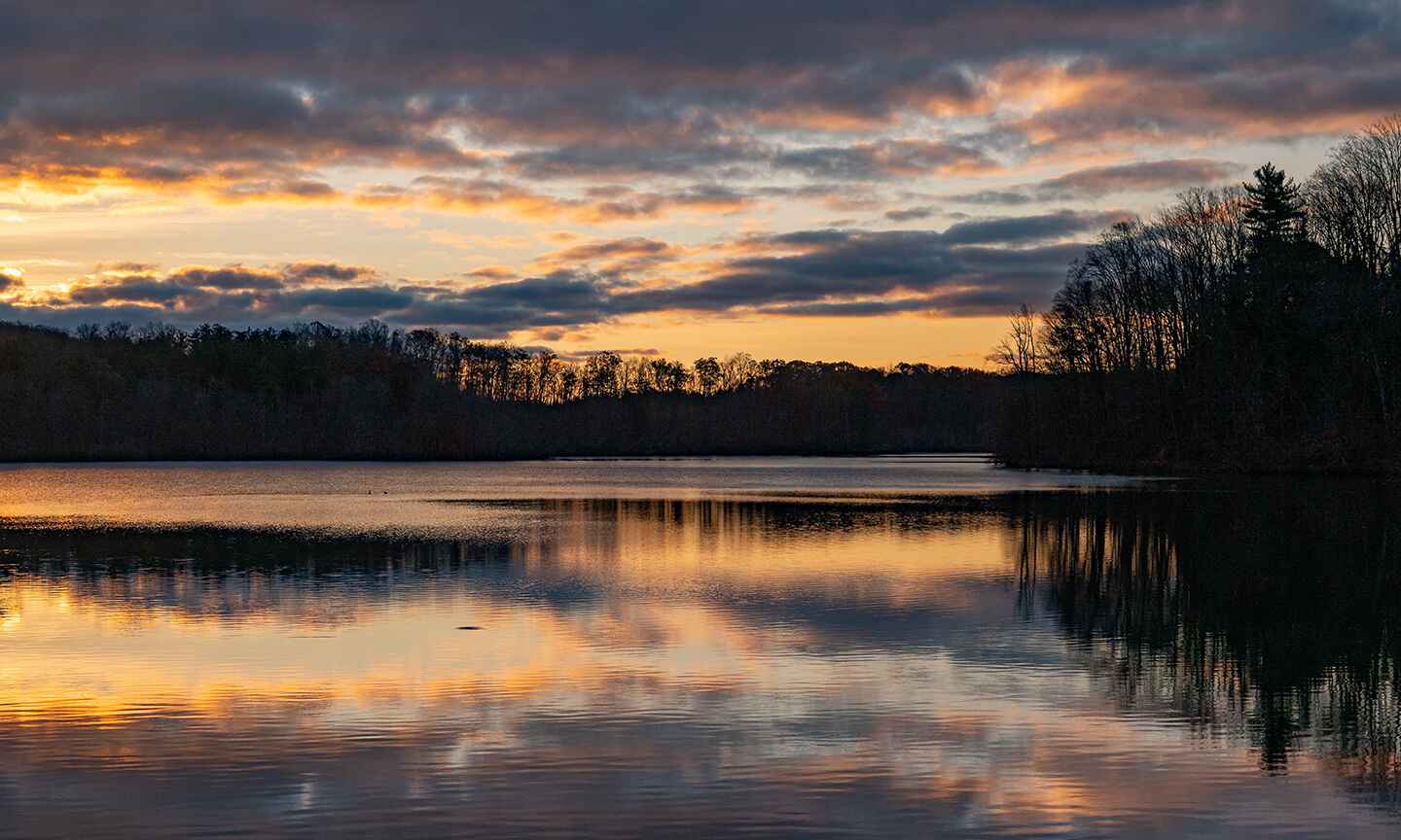 beautiful sunset with water and trees