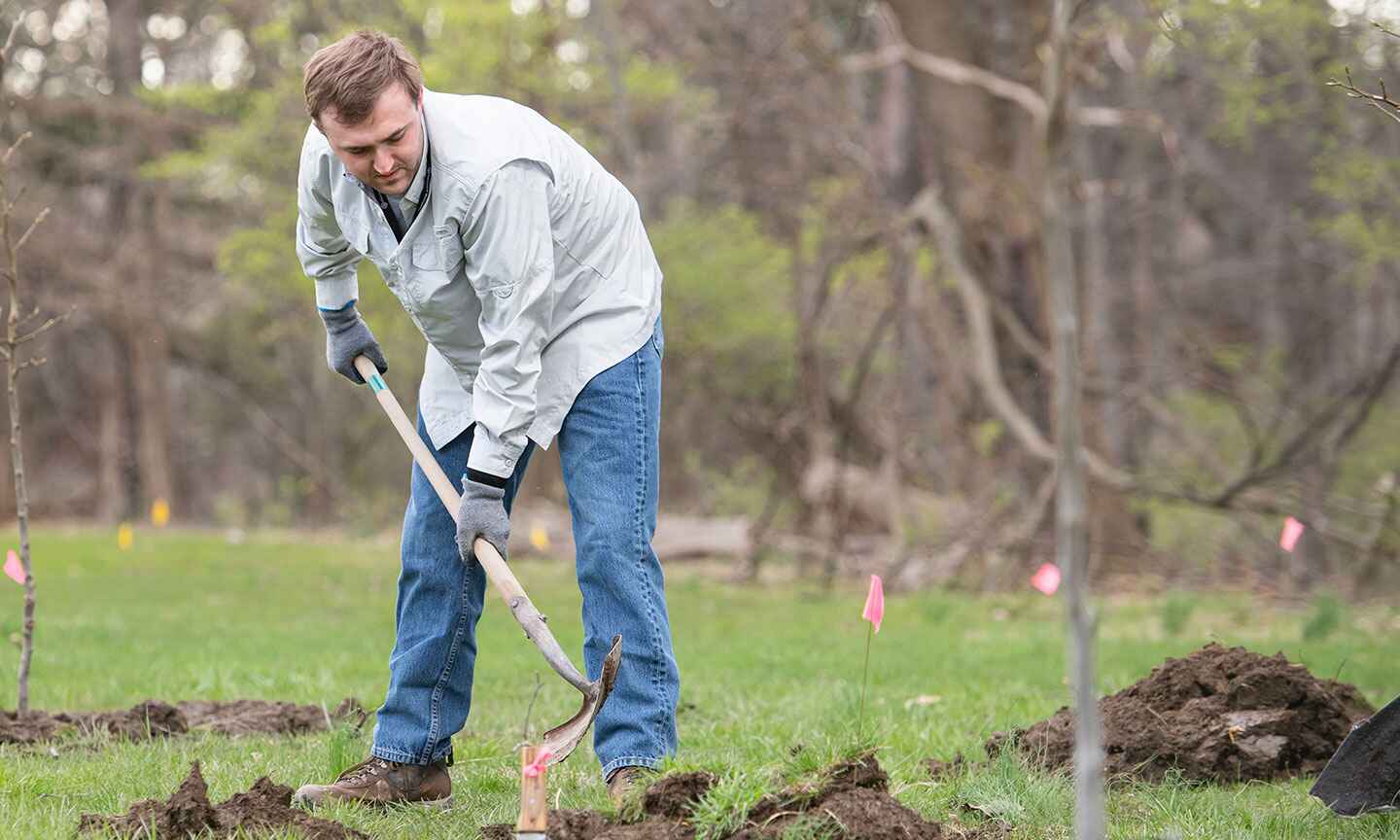 man planting trees