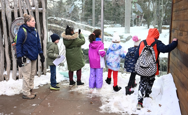 Kids looking through the glass at the zoo in the winter