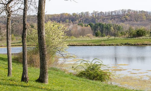 Judge's Lake