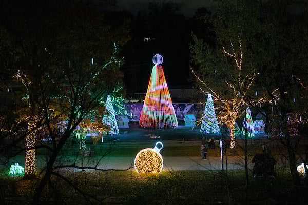 Photo of tree light display at Cleveland Metroparks Zoo
