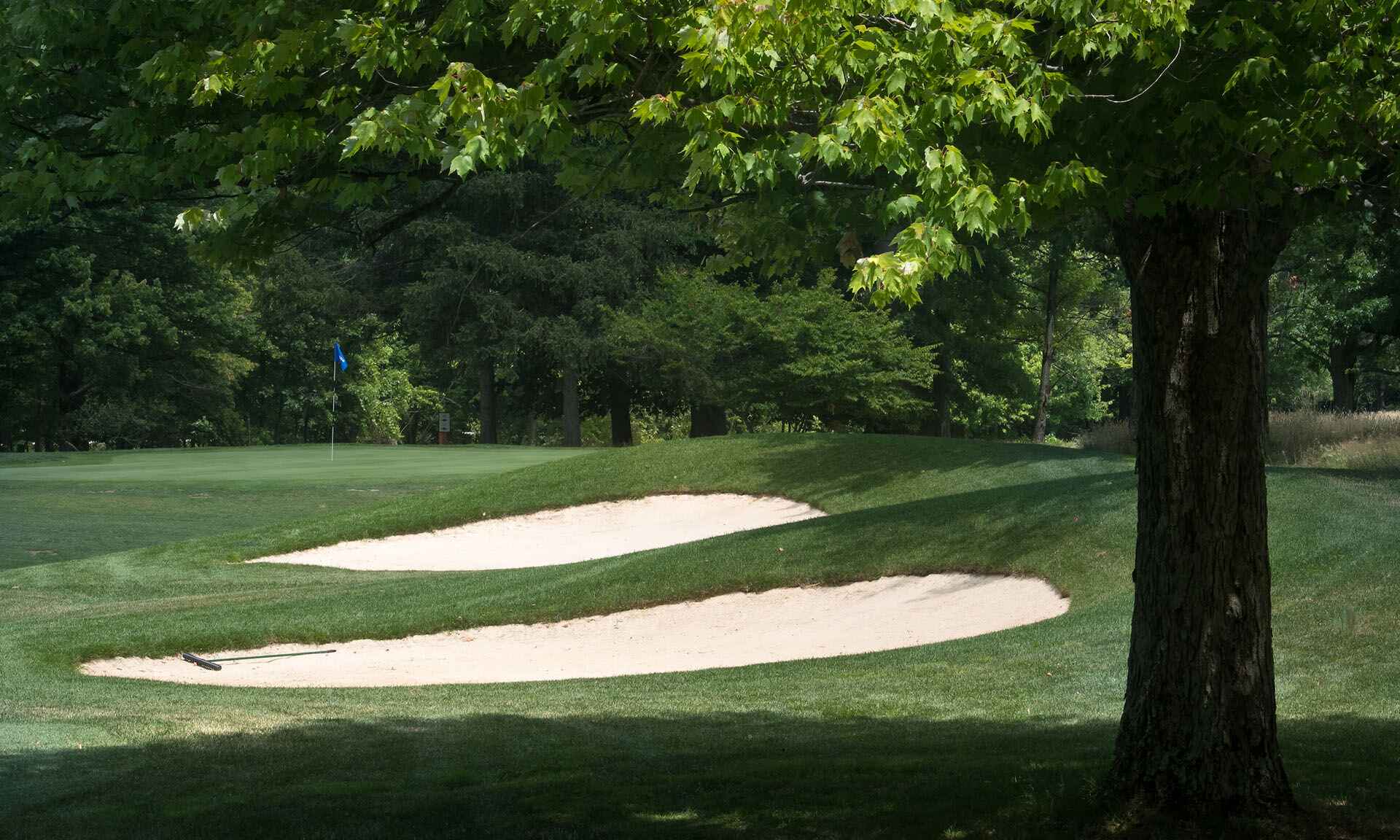 Sand traps on a golf course