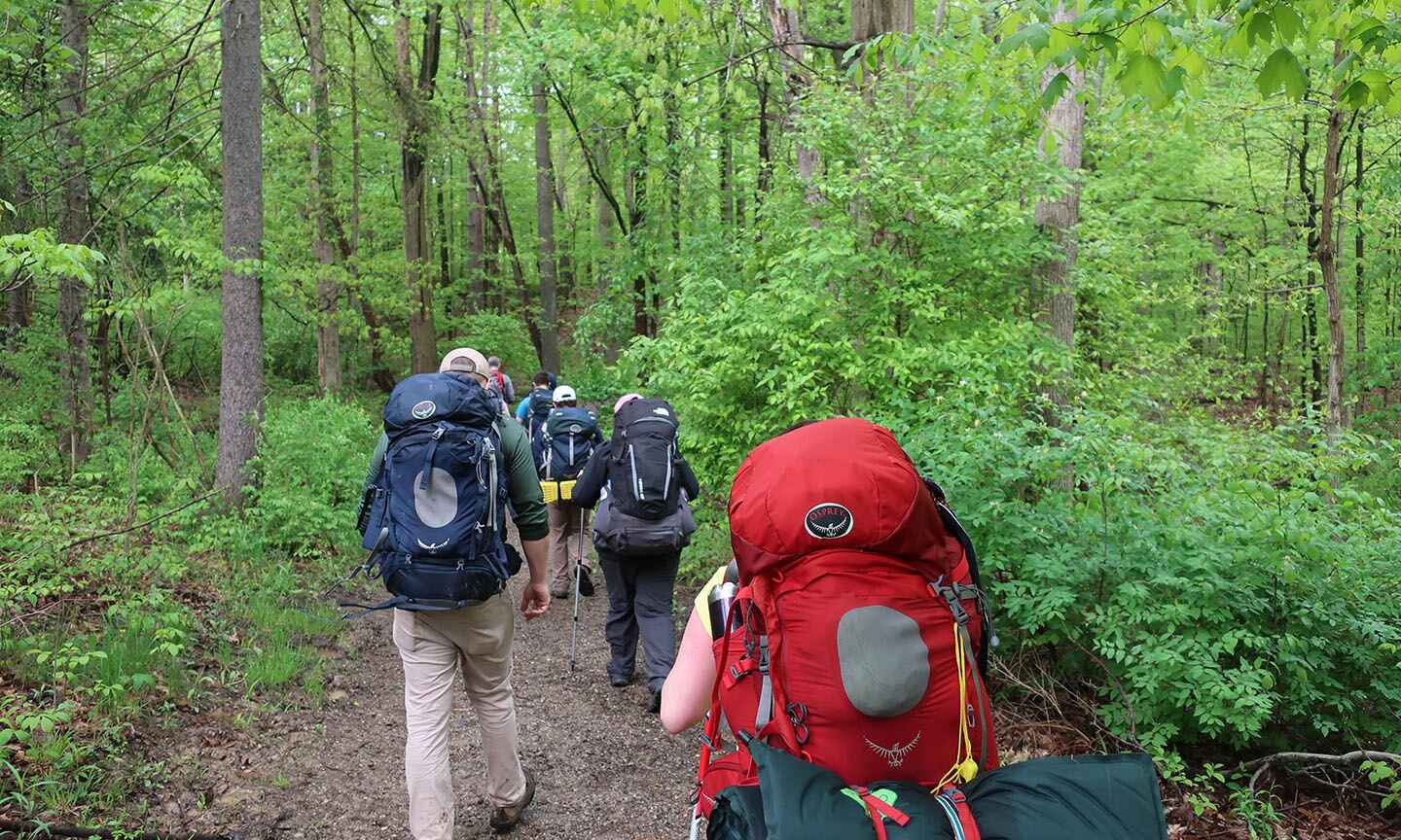 group of backpackers hiking in the forest