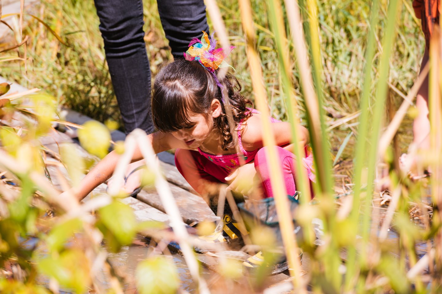 Little girl playing in the tall grass