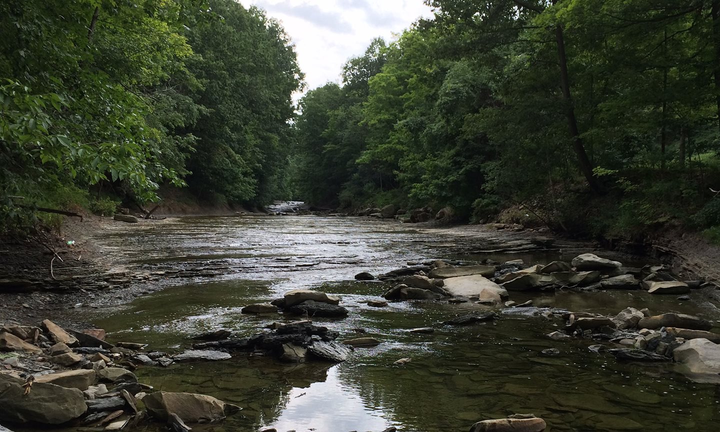 River rushing over rocks