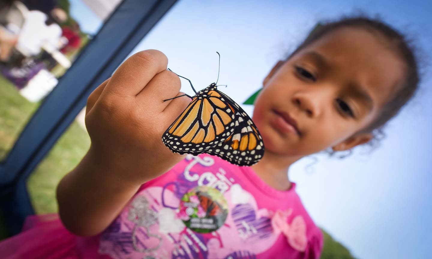 girl with monarch