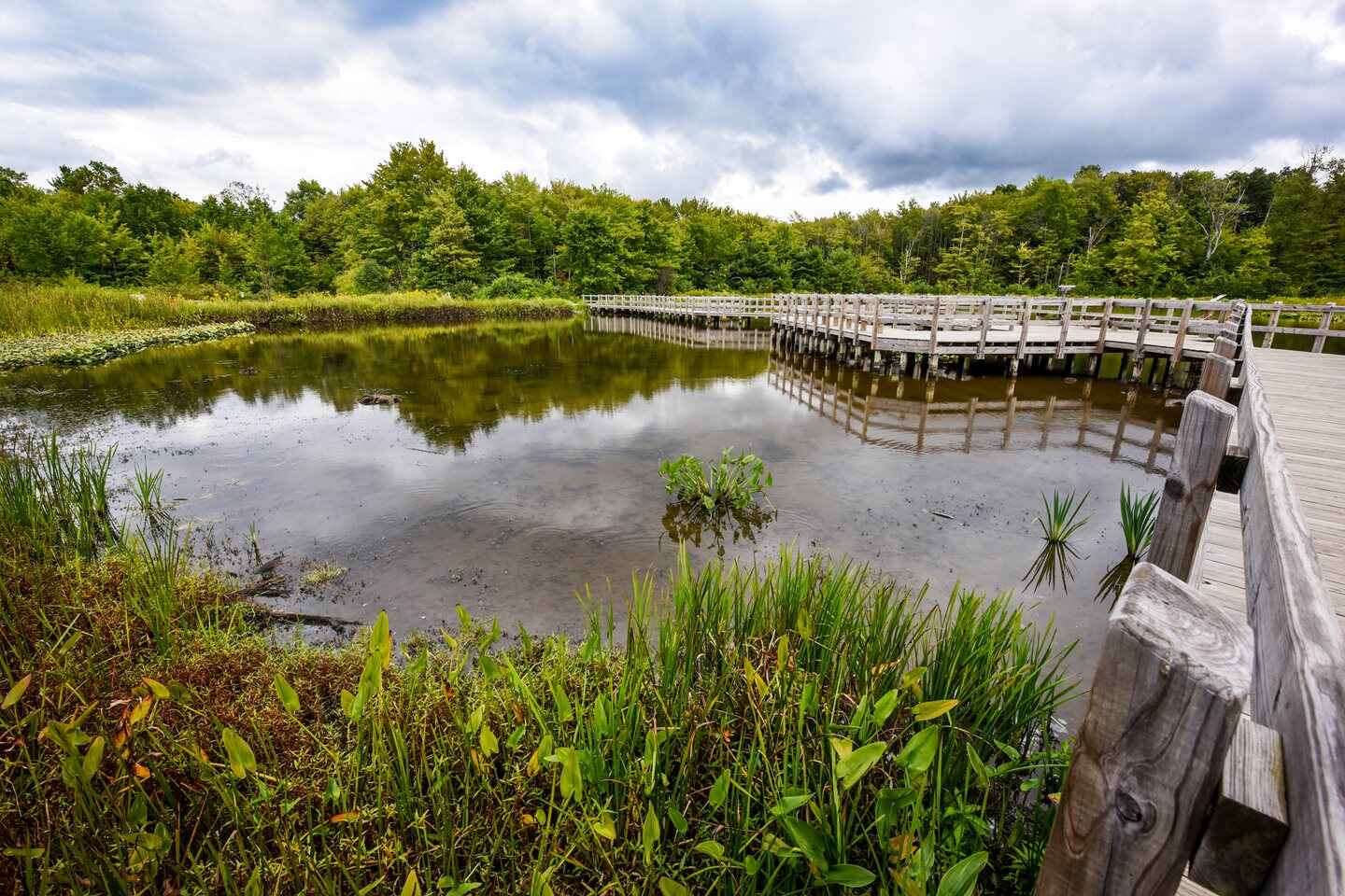 Boardwalk through the lagoon