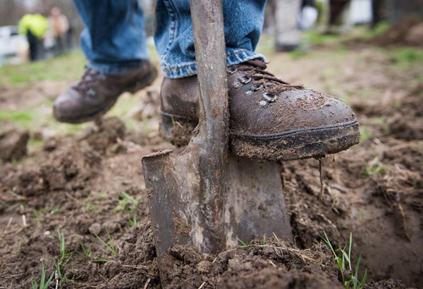 Muddy boot pushing a shovel into the ground