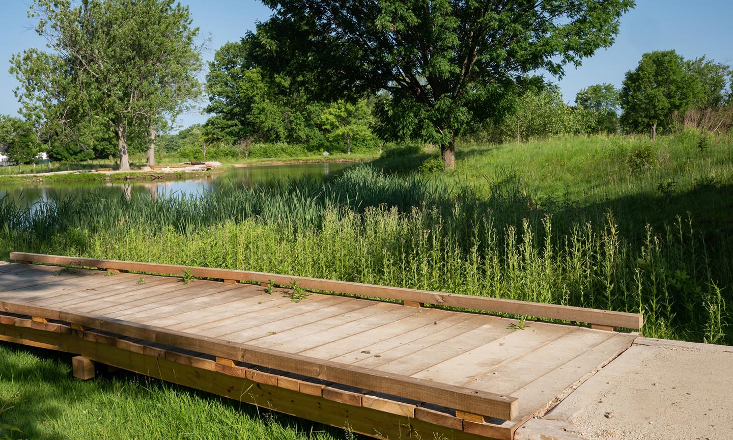 Bridge over water and surrounded by plants