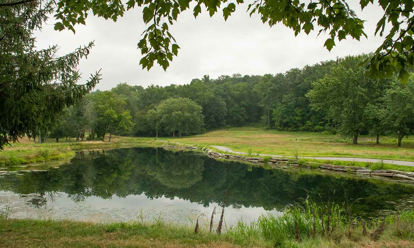 Pond within a park