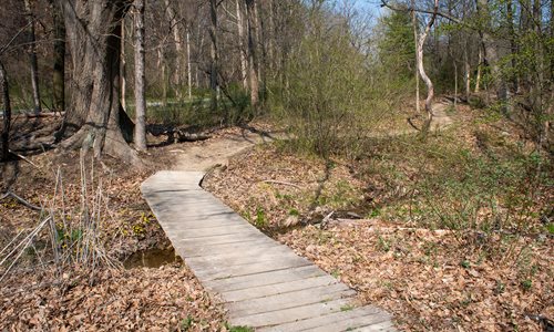 Dunham Trailhead