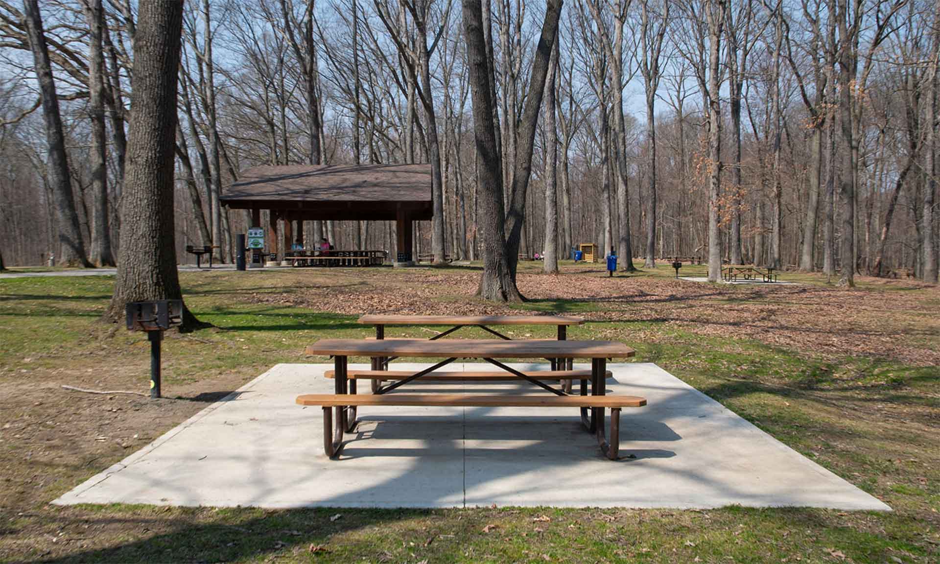 Egbert Picnic Area Trailhead