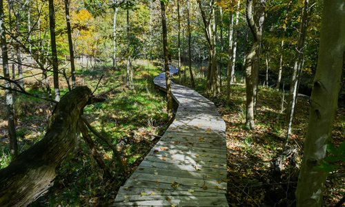 Forbes Woods Trailhead