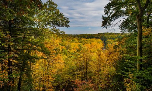 Tinkers Creek Gorge Scenic Overlook