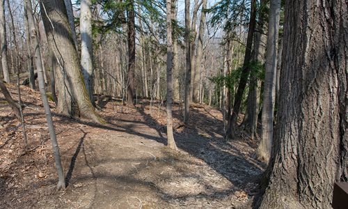 Overlook Lane Trailhead