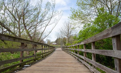 A boardwalk in the park