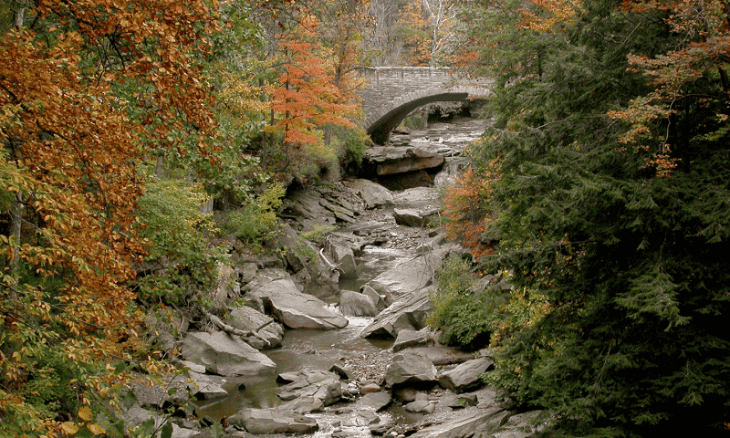 Chippewa Creek Gorge Scenic Overlook