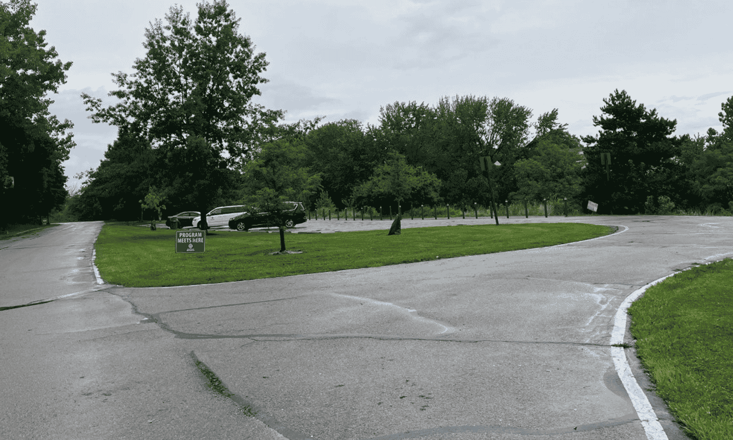 Parking lot surrounded by trees