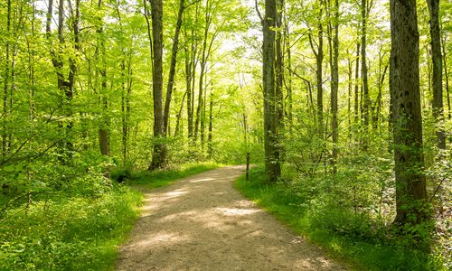 Hinckley Hills Trailhead