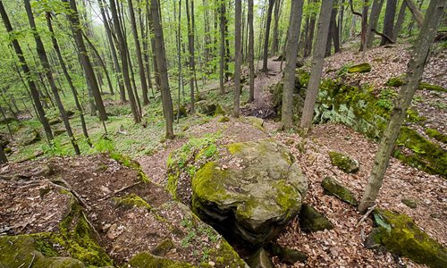 Worden's Ledges Trailhead