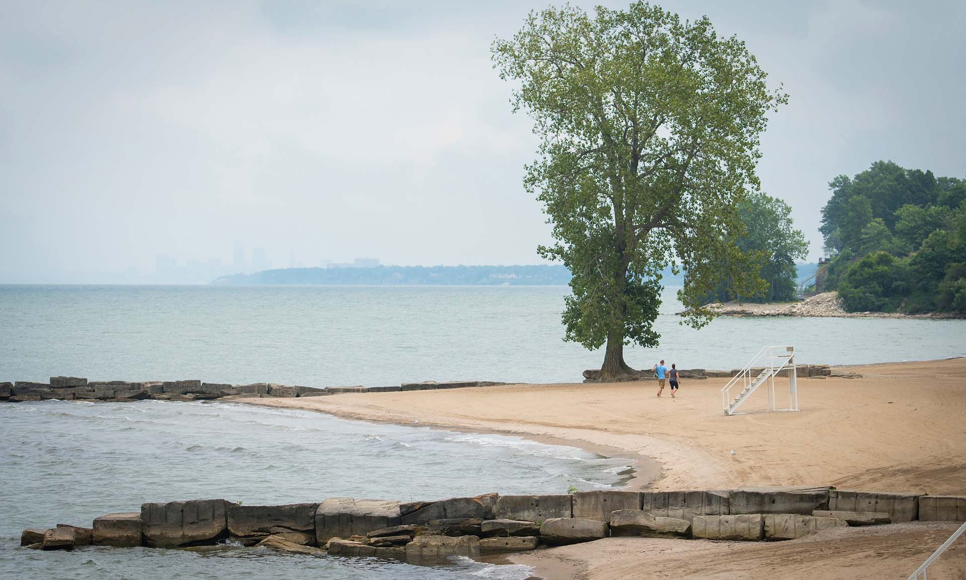 A sandy beach with a tree on the shore, stone barriers in the water, and two people walking.