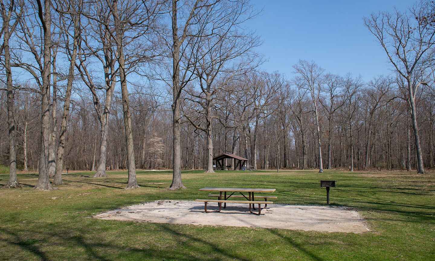 Picnic table surrounded by grass and trees