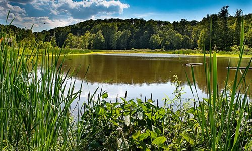 Mill Stream Run Reservation