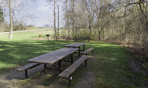 Pawpaw Picnic Area Trailhead