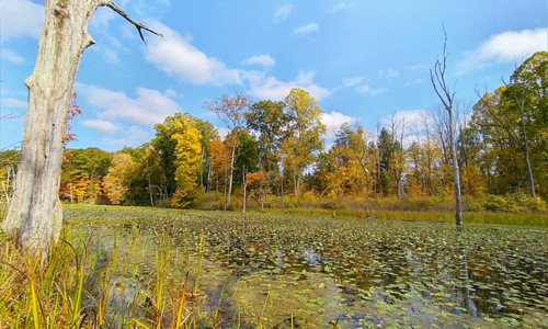 North Chagrin Oxbow Lagoon