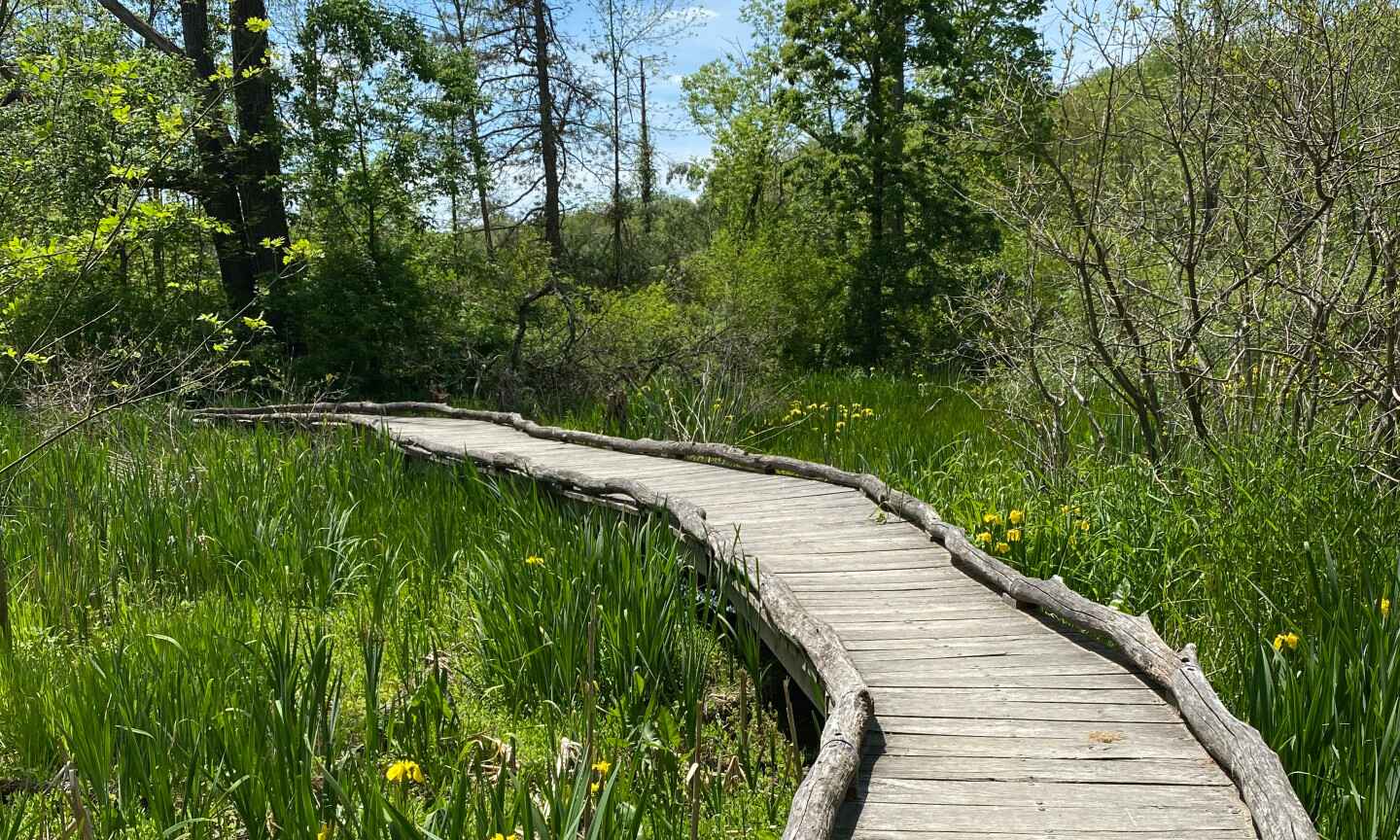 Oxbow Lane Trailhead