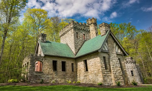 A castle in the forest