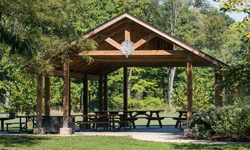 Sycamore Shelter