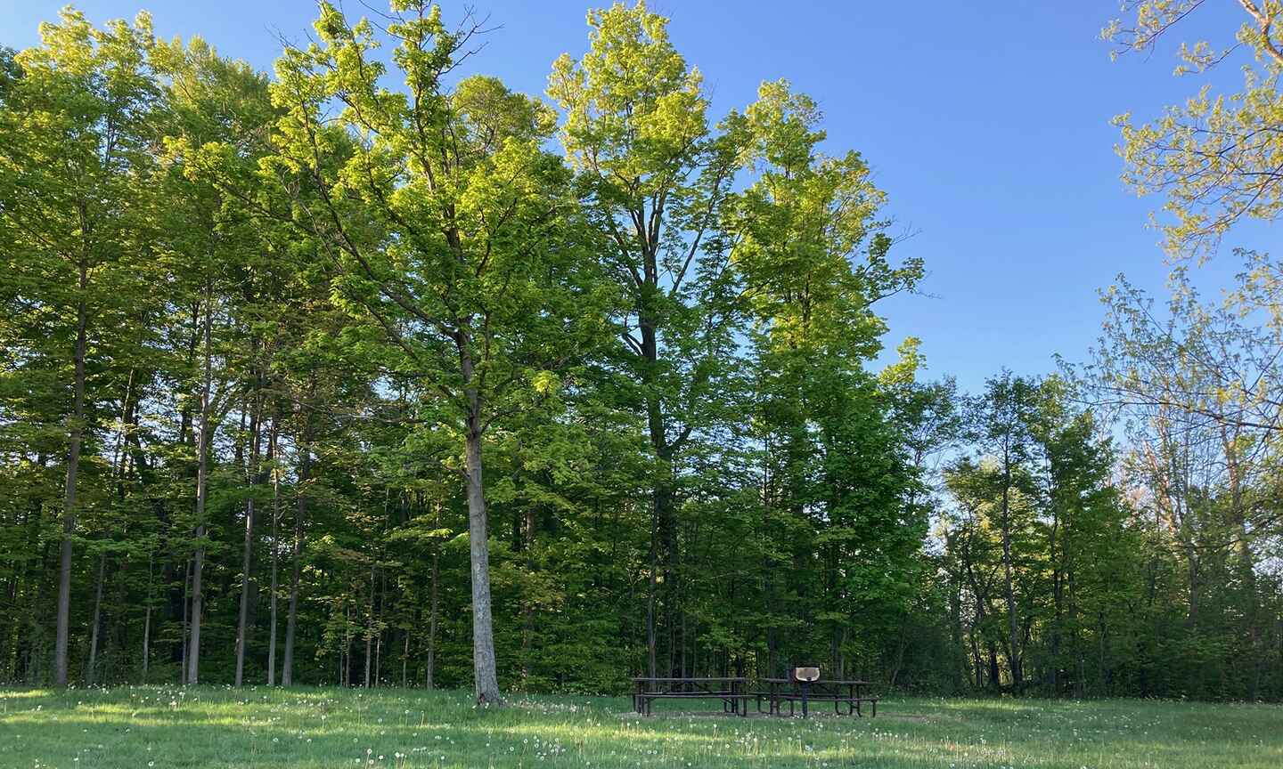 Shadow Lake Picnic Area