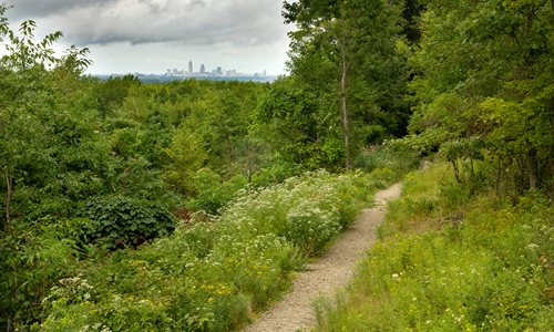 Skyline Overlook Trailhead