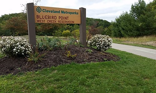 Bluebird Point Overlook