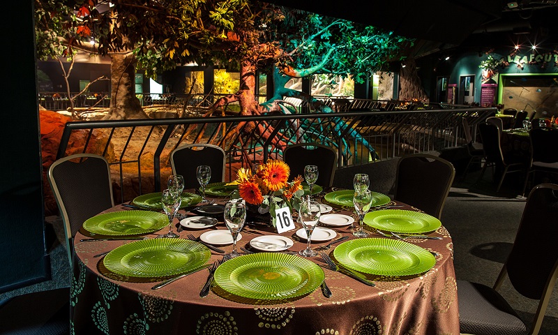 Dining table with a beautiful place setting