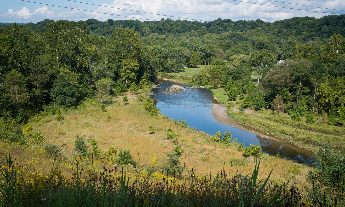 land protection