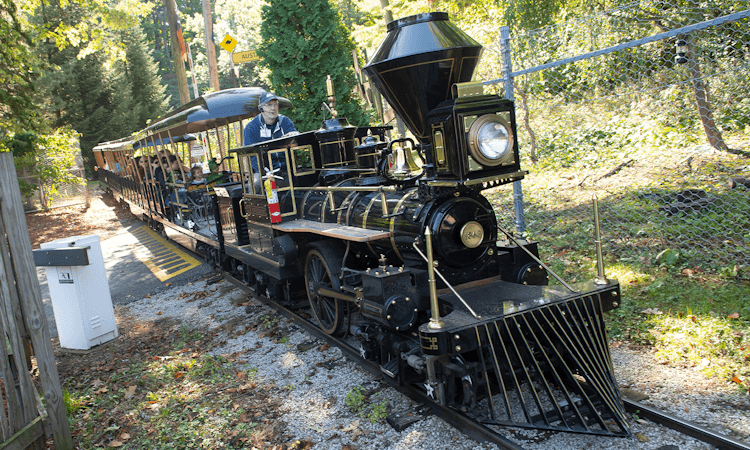 A conductor driving a train